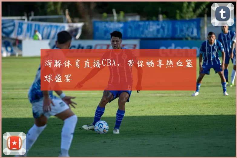 海豚体育直播CBA，带你畅享热血篮球盛宴